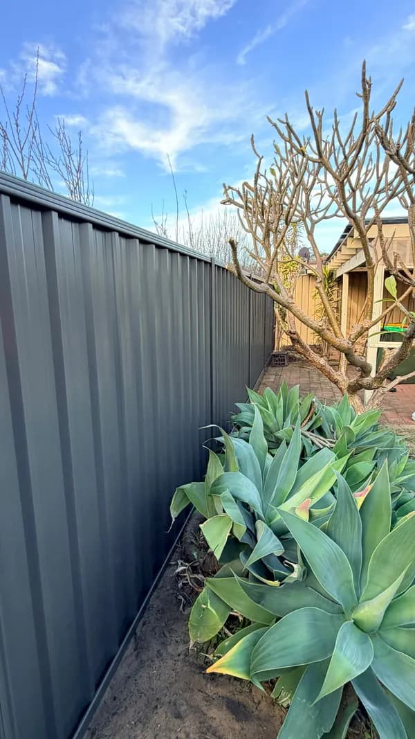 Completed fencing project 8
